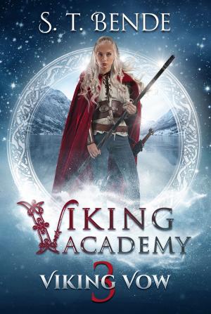 Book cover of Viking Academy: Viking Vow