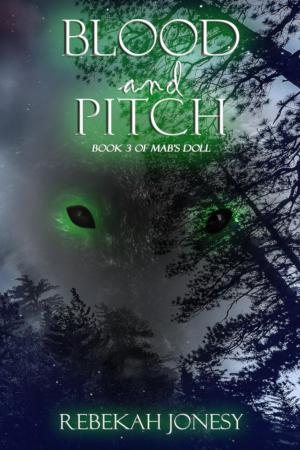 Cover of the book Blood and Pitch by Scot McAtee