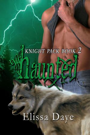 Cover of the book Haunted by Erik Daniel Shein, Melissa Davis