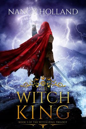 Cover of the book The Witch King by Mallory Kane