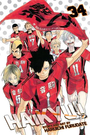 Cover of the book Haikyu!!, Vol. 34 by Natsume Ono
