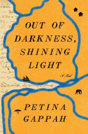 Cover of the book Out of Darkness, Shining Light by Robert Barnard