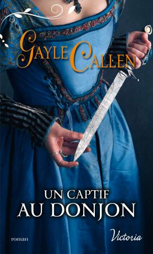 Cover of the book Un captif au donjon by Suzannah Davis
