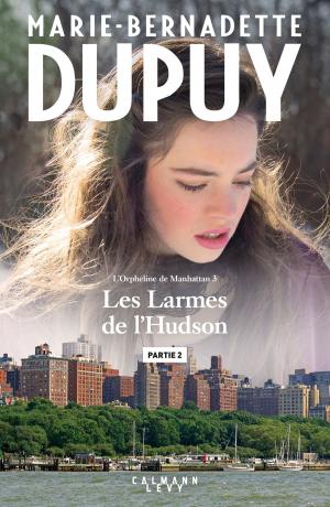 Cover of the book Les larmes de l'Hudson - Partie 2 by Louis-Olivier Vitté