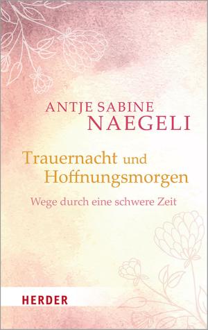 Cover of the book Trauernacht und Hoffnungsmorgen by Verena Kast
