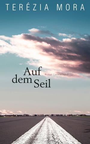 Cover of the book Auf dem Seil by Elizabeth Strout