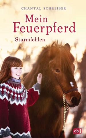 Book cover of Mein Feuerpferd - Sturmfohlen