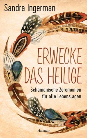 Cover of the book Erwecke das Heilige by Monnica Hackl