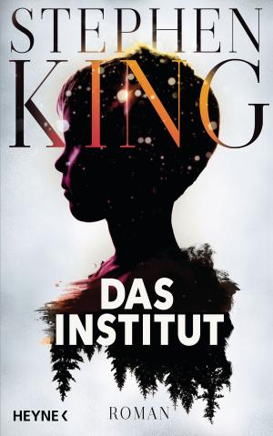 Cover of the book Das Institut by Rebecca Weinstein
