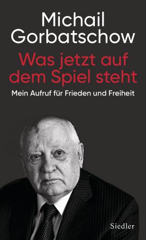 Cover of the book Was jetzt auf dem Spiel steht by Norbert F. Pötzl