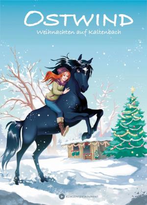 Cover of the book Ostwind - Weihnachten auf Kaltenbach by Meg Cabot