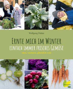 Cover of the book Ernte mich im Winter by Karin Longariva