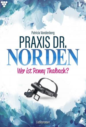 Cover of the book Praxis Dr. Norden 17 – Arztroman by Michaela Dornberg