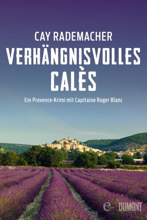 Cover of the book Verhängnisvolles Calès by Bernard-Henri Lévy, Michel Houellebecq