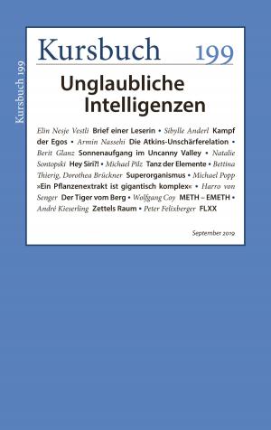Cover of Kursbuch 199
