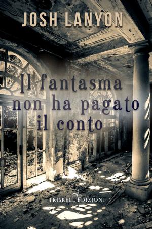 Cover of the book Il fantasma non ha pagato il conto by Stelvio Mestrovich