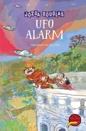 Cover of the book Ufo-alarm by Luit van der Tuuk