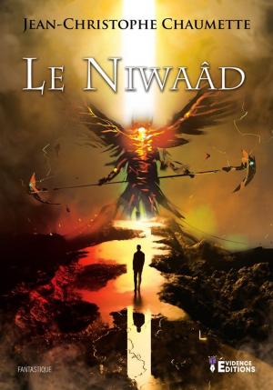 Cover of the book Le Niwaâd by Jenny Louise