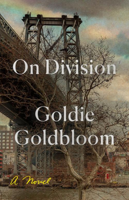 Cover of the book On Division by Goldie Goldbloom, Farrar, Straus and Giroux