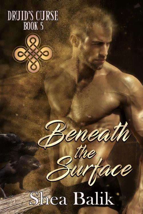Cover of the book Beneath the Surface by Shea Balik, Shea Balik