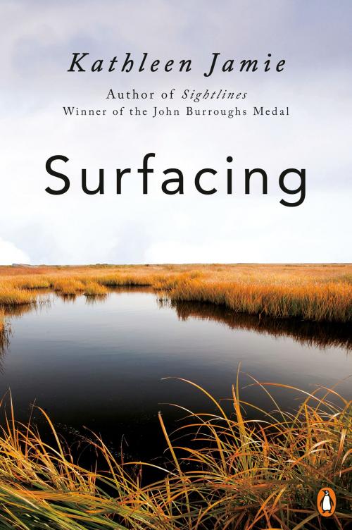 Cover of the book Surfacing by Kathleen Jamie, Penguin Publishing Group