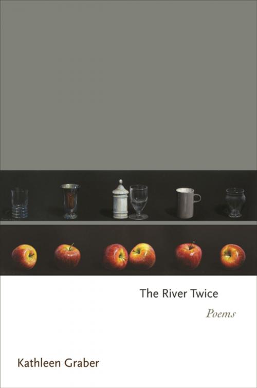 Cover of the book The River Twice by Kathleen Graber, Princeton University Press
