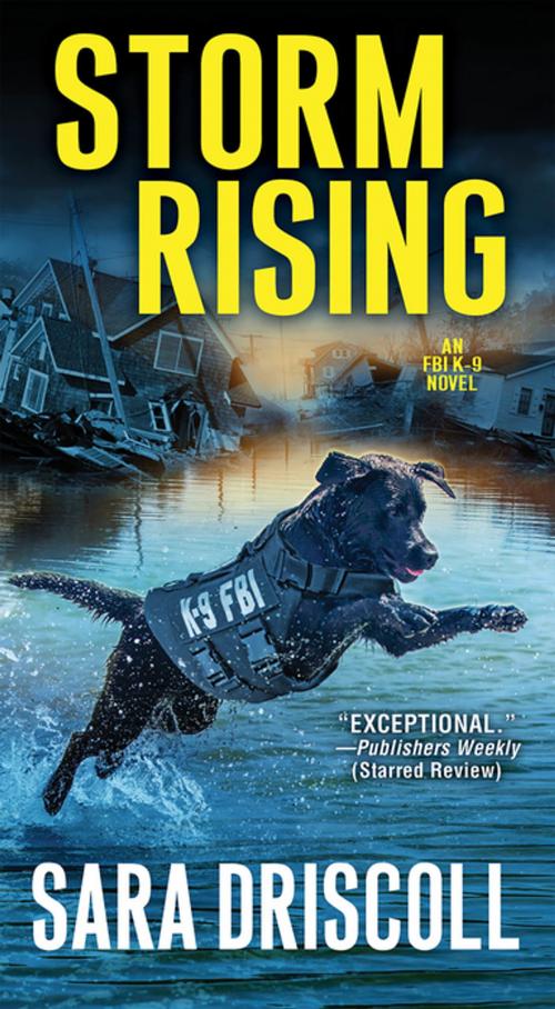 Cover of the book Storm Rising by Sara Driscoll, Pinnacle Books