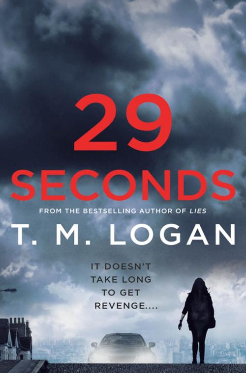 Cover of the book 29 Seconds by T. M. Logan, St. Martin's Publishing Group