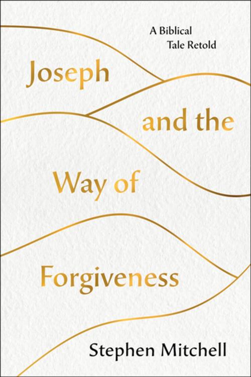 Cover of the book Joseph and the Way of Forgiveness by Stephen Mitchell, St. Martin's Publishing Group