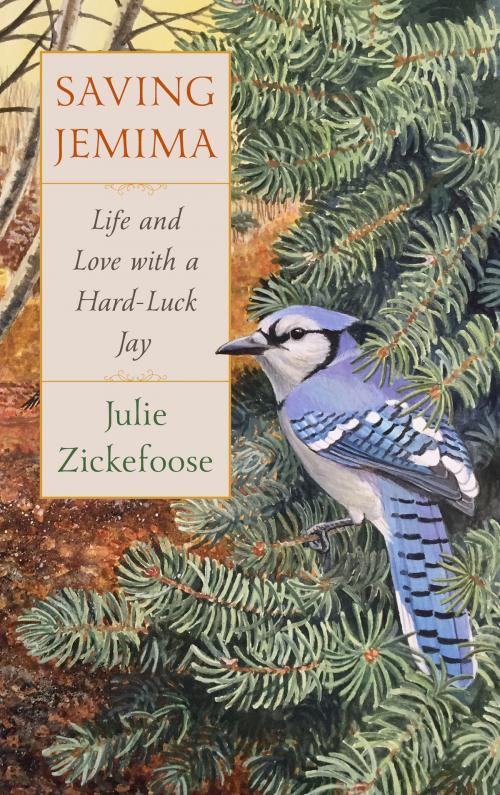 Cover of the book Saving Jemima by Julie Zickefoose, HMH Books
