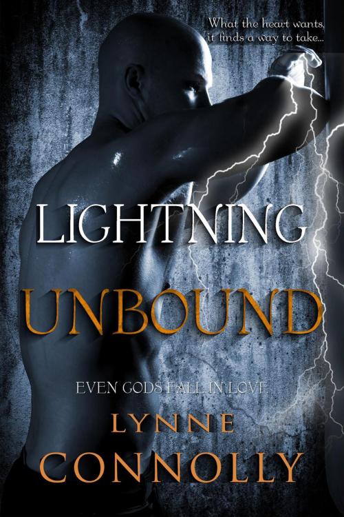 Cover of the book Lightning Unbound by Lynne Connolly, LMC Publications