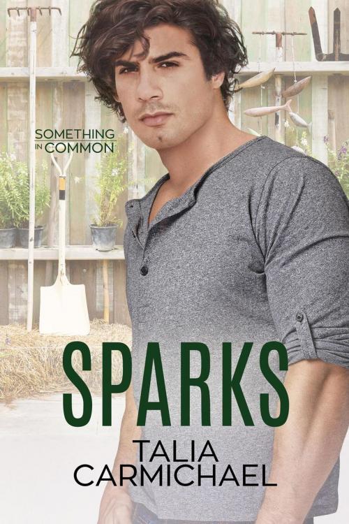 Cover of the book Sparks by Talia Carmichael, Simply Sophisticated Publishing
