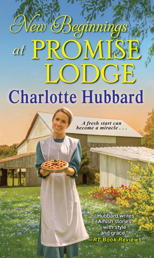 Cover of the book New Beginnings at Promise Lodge by Charlotte Hubbard, Zebra Books