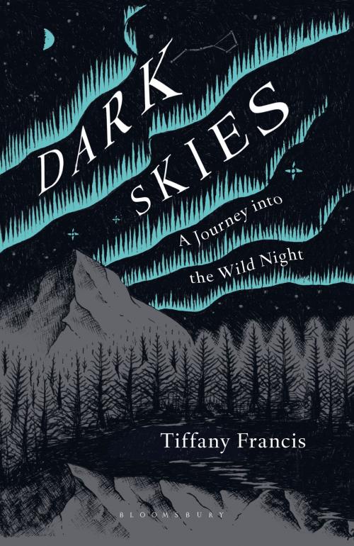Cover of the book Dark Skies by Ms Tiffany Francis-Baker, Bloomsbury Publishing