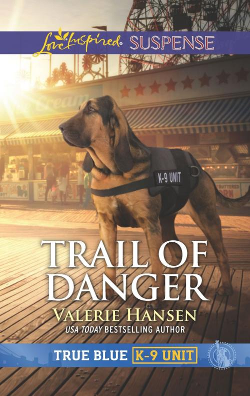 Cover of the book Trail of Danger by Valerie Hansen, Harlequin