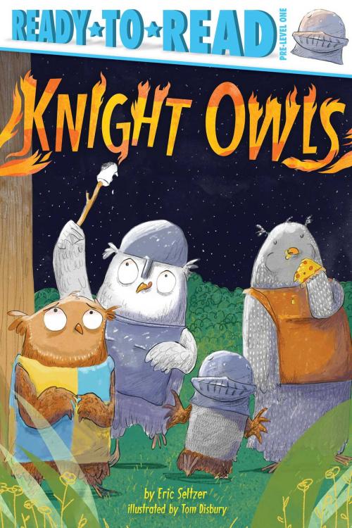 Cover of the book Knight Owls by Eric Seltzer, Simon Spotlight