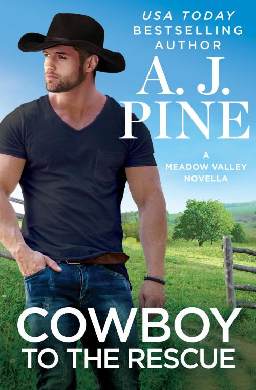 Cover of the book Cowboy to the Rescue by A.J. Pine, Grand Central Publishing