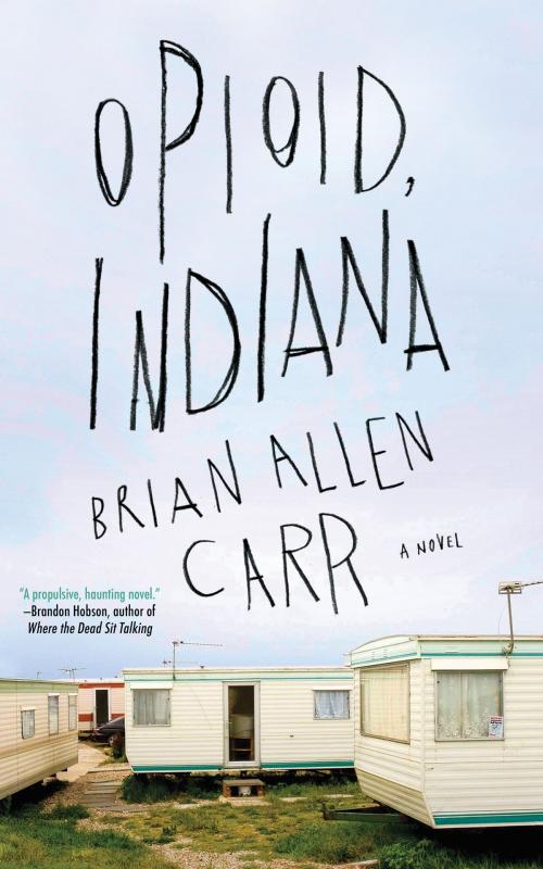 Cover of the book Opioid, Indiana by Brian Allen Carr, Soho Press