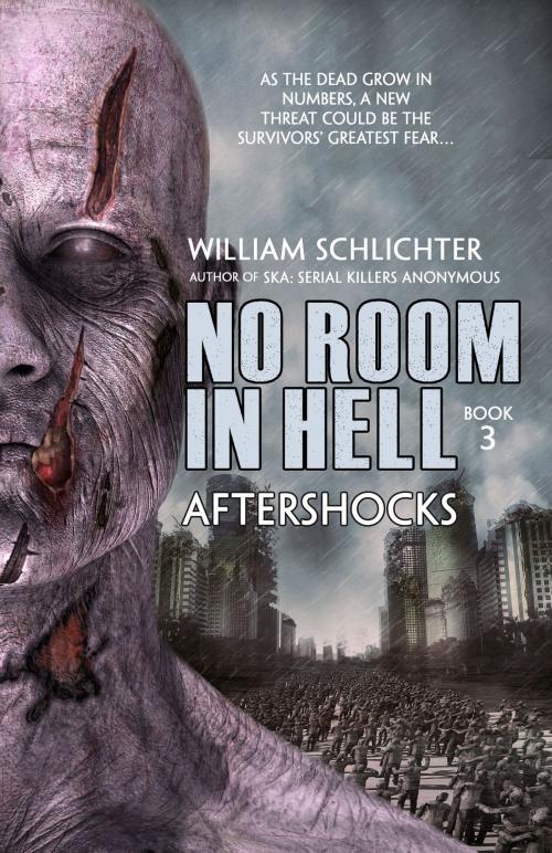 Cover of the book Aftershocks by William Schlichter, BHC Press