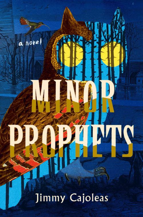 Cover of the book Minor Prophets by Jimmy Cajoleas, ABRAMS