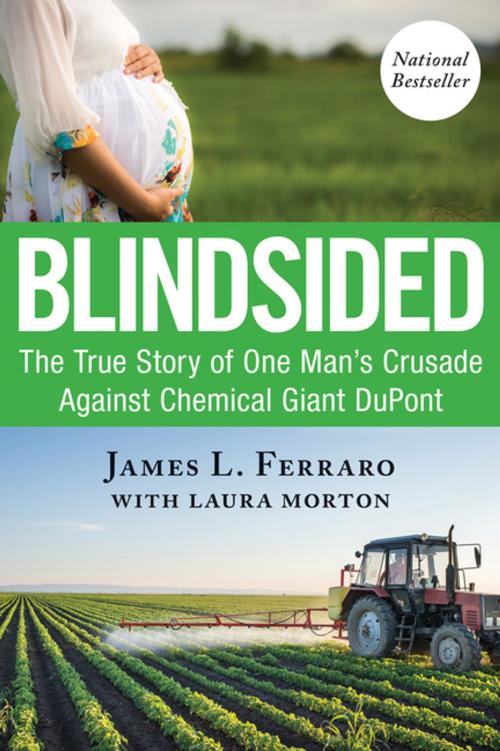 Cover of the book Blindsided by James L. Ferraro, G&D Media