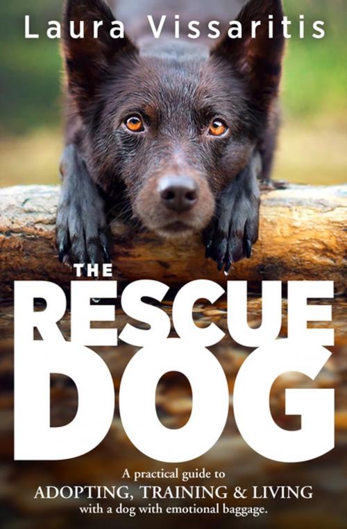 Cover of the book The Rescue Dog by Laura Vissaritis, Penguin Random House Australia