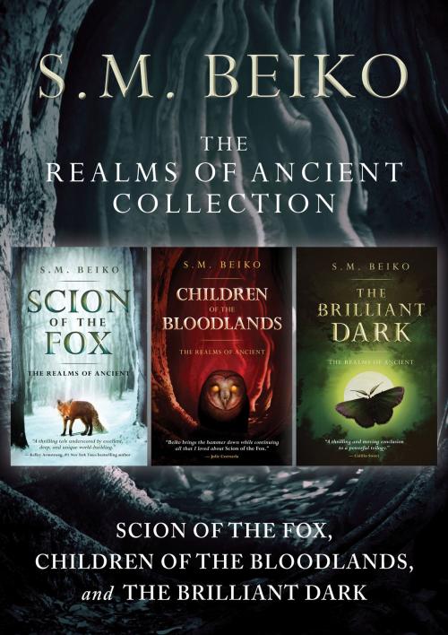 Cover of the book The Realms of Ancient Collection by S.M. Beiko, ECW Press
