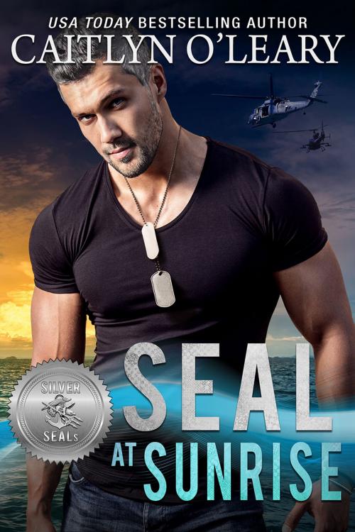 Cover of the book SEAL at Sunrise by Caitlyn O'Leary, Suspense Sisters, Passionately Kind Publishing