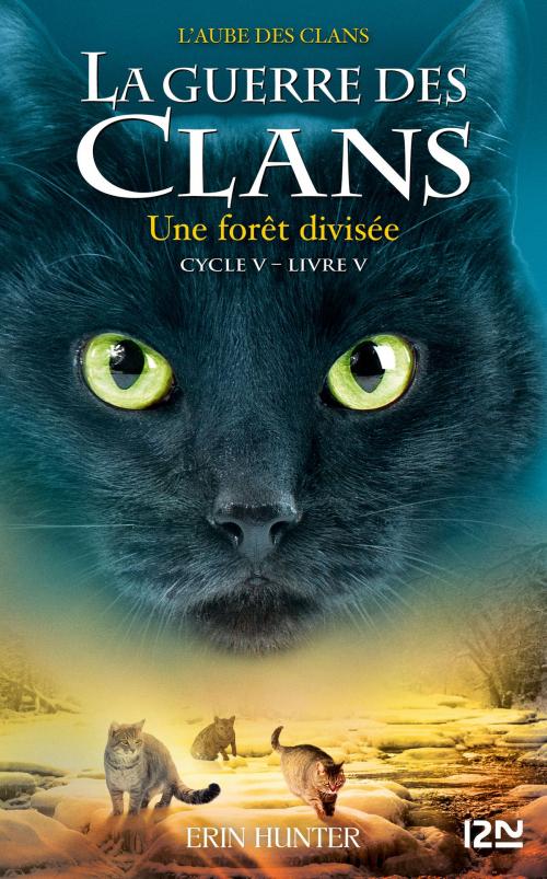 Cover of the book La guerre des Clans, cycle V - Tome 05 : Une forêt divisée by Erin HUNTER, Univers Poche