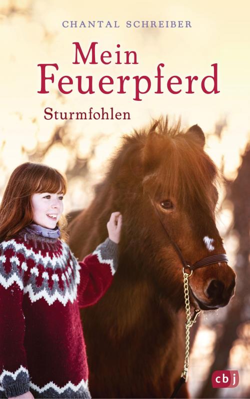 Cover of the book Mein Feuerpferd - Sturmfohlen by Chantal Schreiber, cbj