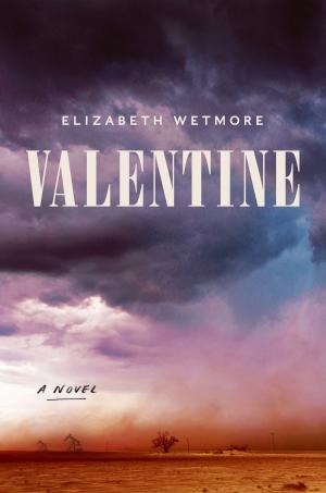 Cover of the book Valentine by Jules Verne, Lorenz Frølich