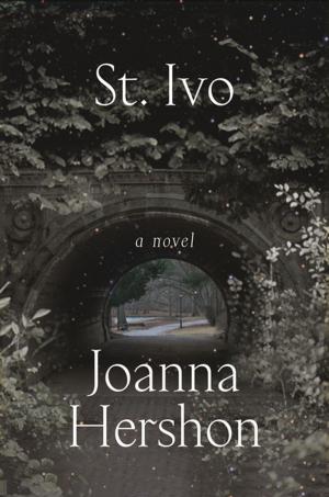 Cover of the book St. Ivo by Glenn Kurtz