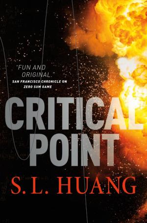 Cover of the book Critical Point by Ken MacLeod
