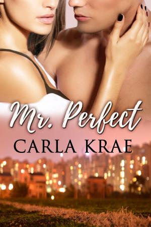 Cover of the book Mr. Perfect by Monica Lombardi